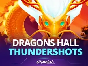 Dragon's Hall Thundershots game cover