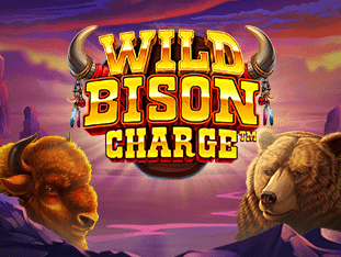 Wild Bison Charge game cover